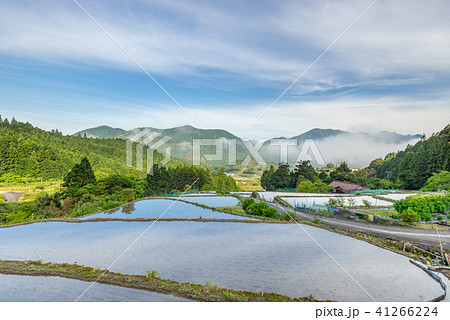 棚田と赤木城跡 41266224