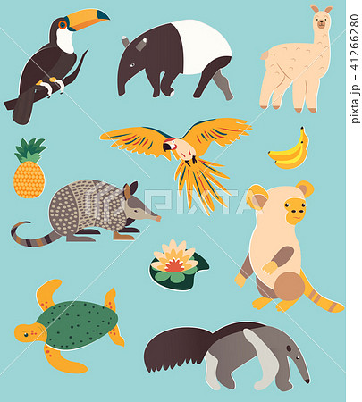 Big set with animals of South America 41266280