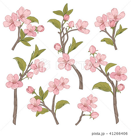 Blooming Tree Set Collection Hand Drawn のイラスト素材