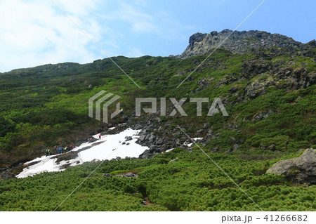 羅臼平から羅臼岳山頂へ 41266682