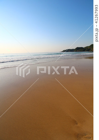 白浜神社前の海岸 白浜神社前の海岸 41267993