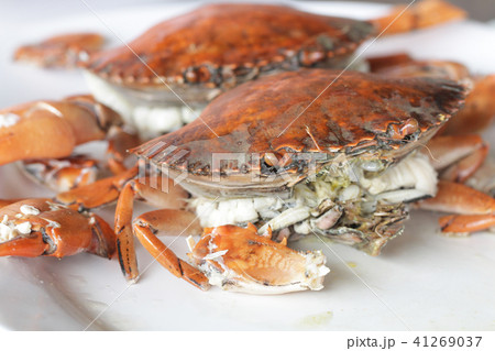 boiled stone Crab raw shell animal gourmet food re 41269037