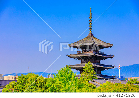 京都　初夏の八坂の塔（法観寺） 41271826