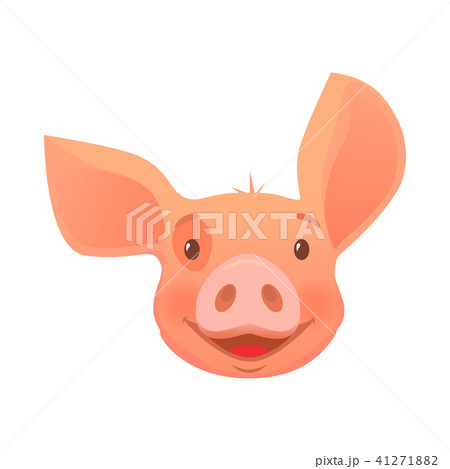head of pink pig 41271882