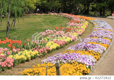長居植物園 41271912