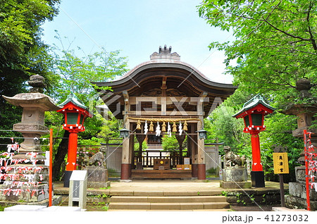 江の島　江島神社境内の奥津宮社殿と新緑 41273032