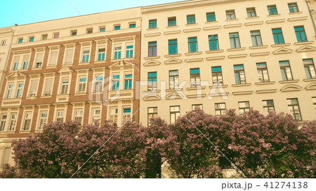 Building facade and blooming lilac in Leipzig, Germany Building facade and blooming lilac in Leipzig, Germany 41274138