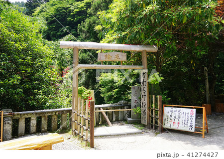 雨降山大山寺  かわら投げ　新緑 41274427