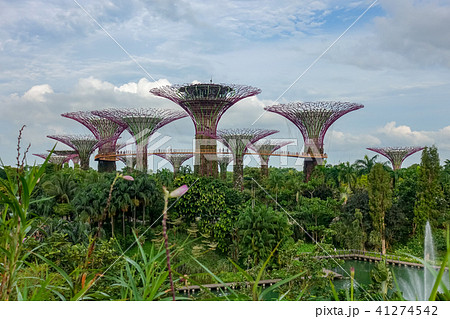 シンガポール アジア人 アジアン 41274542