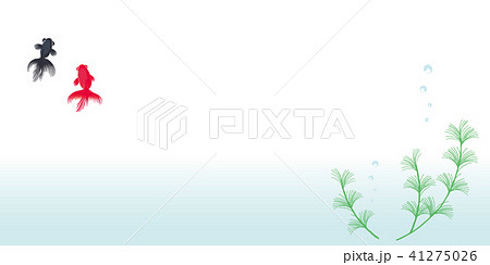 金魚　背景イラスト 41275026