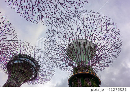 シンガポール アジア人 アジアン 41276321