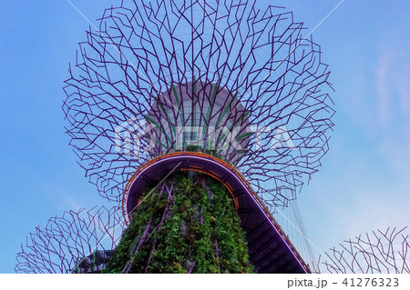 シンガポール アジア人 アジアン 41276323