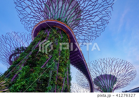 シンガポール アジア人 アジアン 41276327