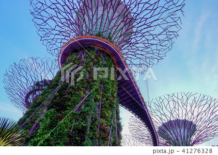 シンガポール アジア人 アジアン 41276328