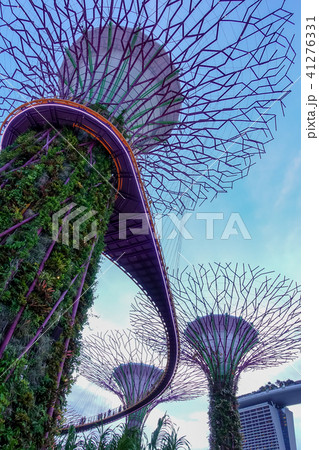 シンガポール アジア人 アジアン 41276331