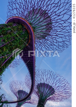 シンガポール アジア人 アジアン 41276335