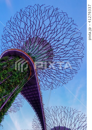 シンガポール アジア人 アジアン 41276337