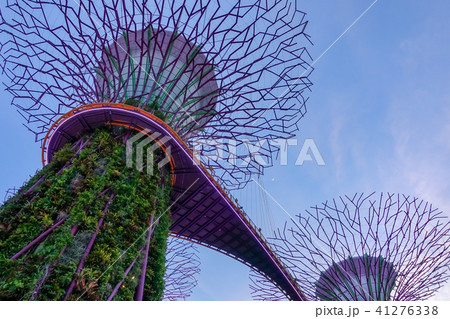 シンガポール アジア人 アジアン 41276338