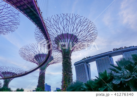 シンガポール アジア人 アジアン 41276340