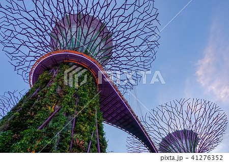 シンガポール アジア人 アジアン 41276352