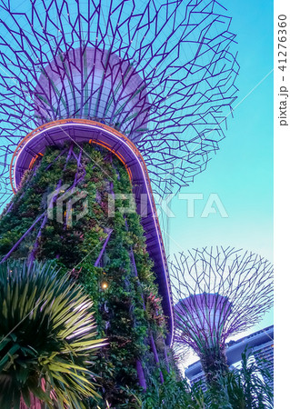 シンガポール アジア人 アジアン 41276360