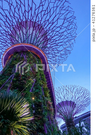 シンガポール アジア人 アジアン 41276361