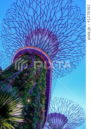 シンガポール アジア人 アジアン 41276362