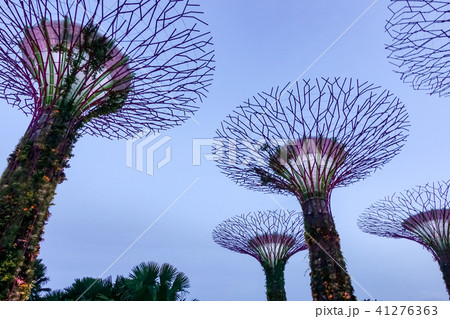 シンガポール アジア人 アジアン 41276363