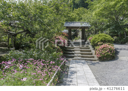 浄智寺棟門（鎌倉市山ノ内） 41276611