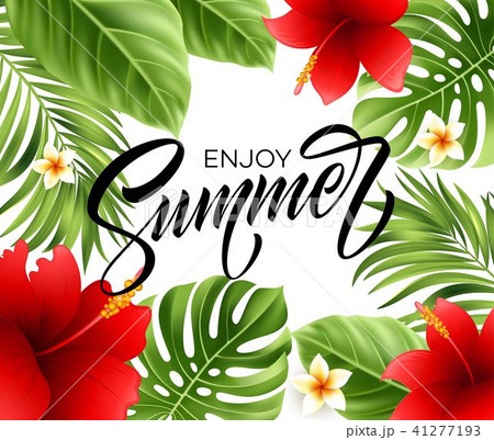 Summer poster with tropical palm leaf and handwriting lettering. Vector illustration 41277193