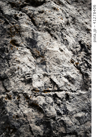 abstract surface of gray limestone abstract surface of gray limestone 41278406