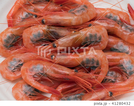 殻付きのアマエビ 41280432