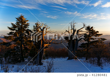 日の出 注目 41280481