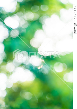 夏のボケ素材 夏のボケ素材 41281472