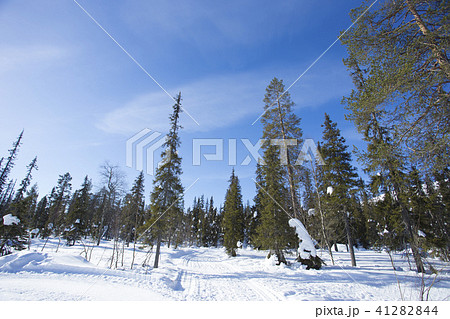 雪景色と青空 フィンランド ロバニエミ 雪景色と青空 フィンランド ロバニエミ 41282844