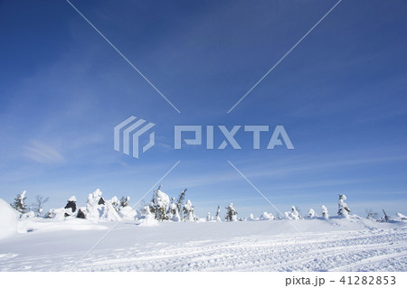 雪景色 フィンランド ロバニエミ 雪景色 フィンランド ロバニエミ 41282853