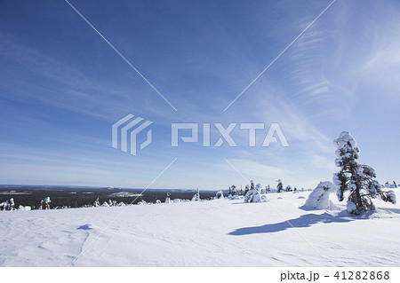 雪景色と青空 フィンランド ロバニエミ 雪景色と青空 フィンランド ロバニエミ 41282868