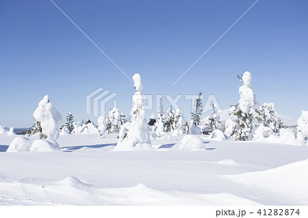 雪景色と青空 フィンランド ロバニエミ 雪景色と青空 フィンランド ロバニエミ 41282874