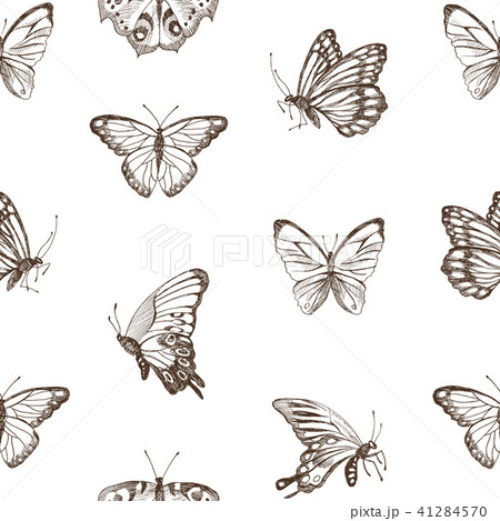 Collection of Hand Drawn brown silhouette butterflies. Vector illustration in vintage style. High 41284570
