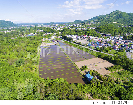 春の田んぼ（空撮） 41284795