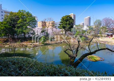 肥後細川庭園 肥後細川庭園 41284993