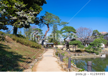 肥後細川庭園 41284995