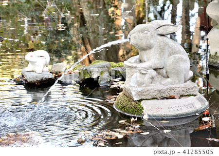 さいたま市調神社境内の水を吐く兎 さいたま市調神社境内の水を吐く兎 41285505