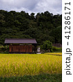 白川郷（曇り） 41286171
