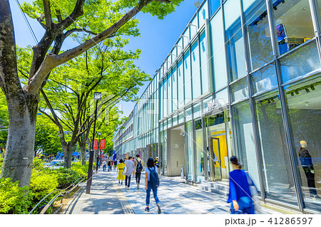 東京 原宿 表参道の風景 東京 原宿 表参道の風景 41286597