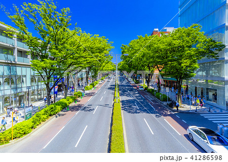 東京　原宿　表参道の風景 41286598
