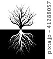 Silhouette of a tree and its roots. 41288057