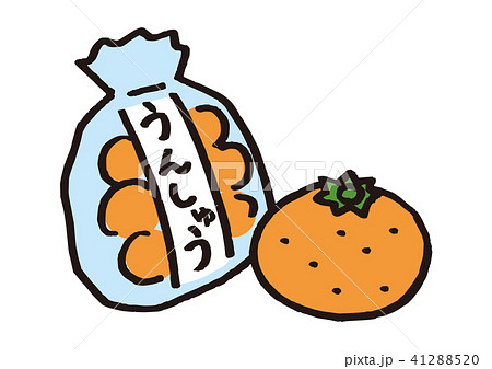 温州みかん 41288520