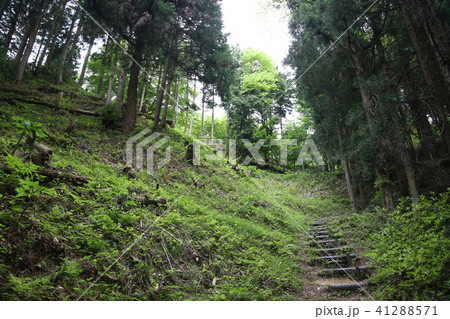 三沢城跡(尼子十旗 三沢城) 41288571