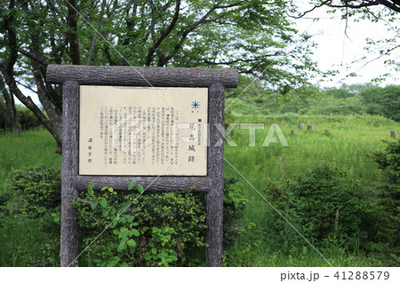 尾高城跡 41288579